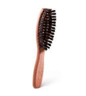 Dick Johnson Beard Brush