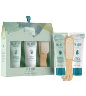 Scottish Fine Soaps Sea Kelp Gift Set