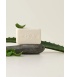 Ach-Brito-Aloe-Vera-seep-2.jpg