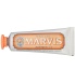 Marvis hambapasta Ginger Mint 25ml 1.jpg