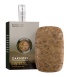 Kooriv-seep-Scottish-OAKMOSS.jpg